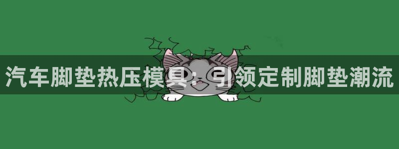 易倍申每盒价格是多少?:汽车脚垫热压模具:引领定制脚垫潮