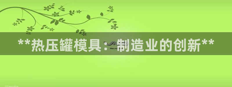 易倍达科技有限公司:**热压罐模具:制造业的创新**
