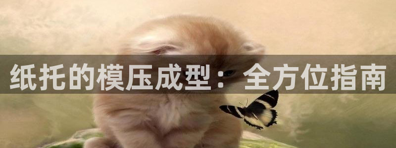 南京易倍易电子科技有限公司