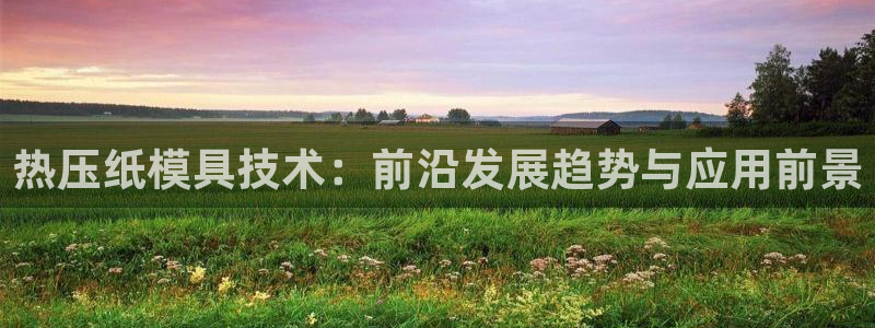 易倍网络技术有限公司官网