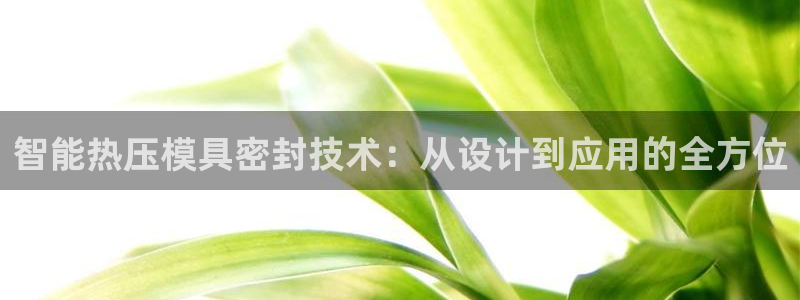 EMC易倍官网招聘：智能热压模具密封技术：从设计到应用的