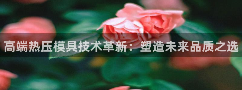 emc全站下载：高端热压模具技术革新：塑造未来品质之选