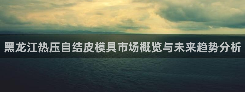 易倍达科技有限公司招聘：黑龙江热压自结皮模具市场概览与未