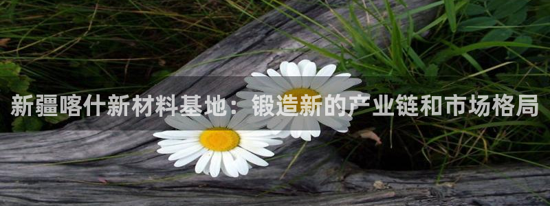 emcapp下载普通下载：新疆喀什新材料基地：锻造新的产