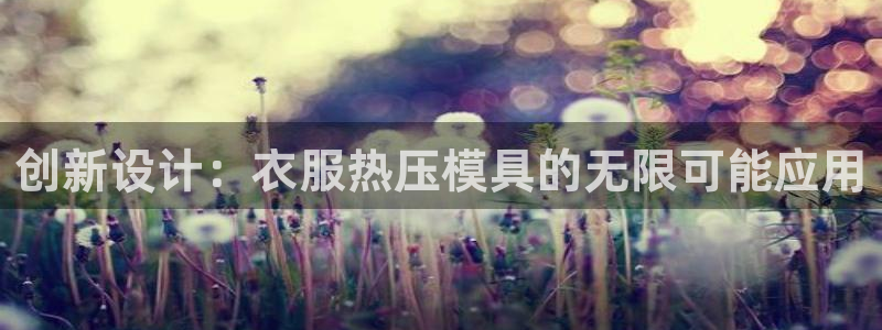 易倍申多少钱一盒：创新设计：衣服热压模具的无限可能应用