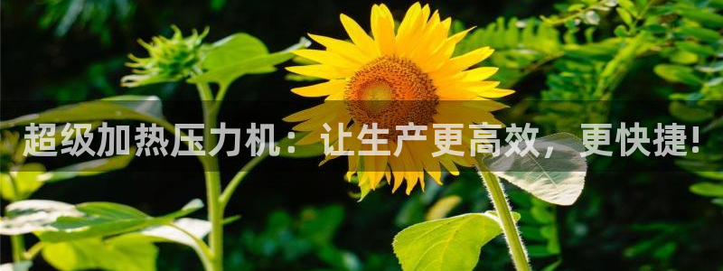 emc高频比低频好改：超级加热压力机：让生产更高效，更快