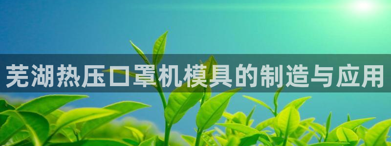 易倍单词平台：芜湖热压口罩机模具的制造与应用