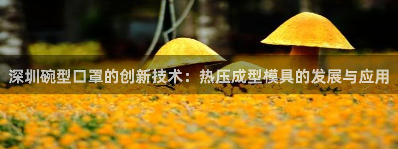 易倍电竞安装教程：深圳碗型口罩的创新技术：热压成型模具的