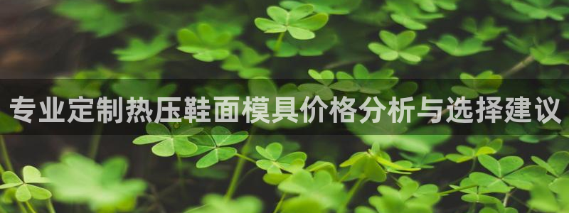 emc倍频：专业定制热压鞋面模具价格分析与选择建议