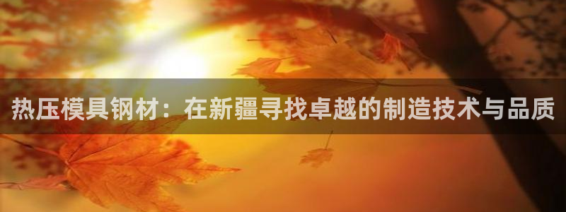 易倍申片说明书：热压模具钢材：在新疆寻找卓越的制造技术与