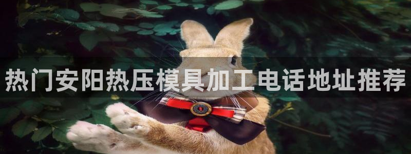 易倍英语官方网站登录：热门安阳热压模具加工电话地址推荐