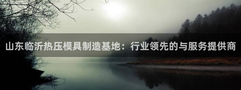 易倍康简历：山东临沂热压模具制造基地：行业领先的与服务提