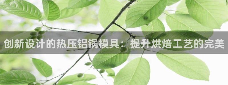 杭州易倍达：创新设计的热压铝锅模具：提升烘焙工艺的完美