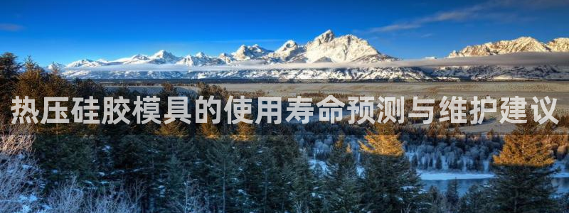 易倍申和易倍清的区别：热压硅胶模具的使用寿命预测与维护建