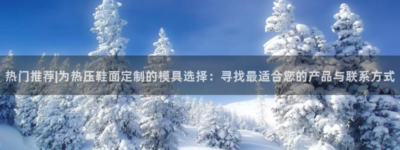 emc服务器是什么：热门推荐|为热压鞋面定制的模具选择：