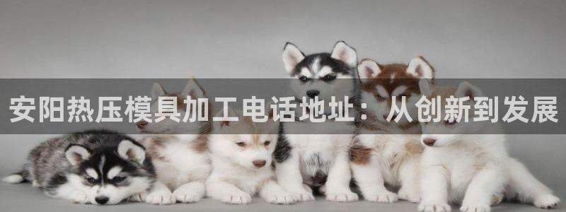 易倍申是进口药吗：安阳热压模具加工电话地址：从创新到发展