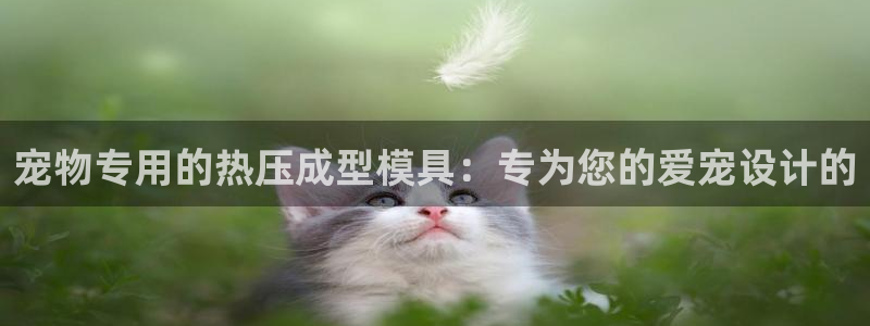emc易倍：宠物专用的热压成型模具：专为您的爱宠设计的