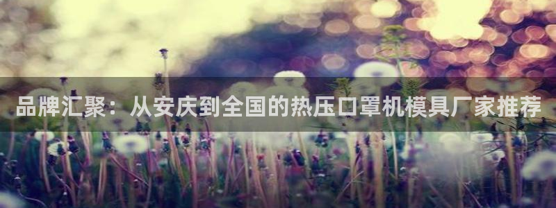 易倍单词app下载