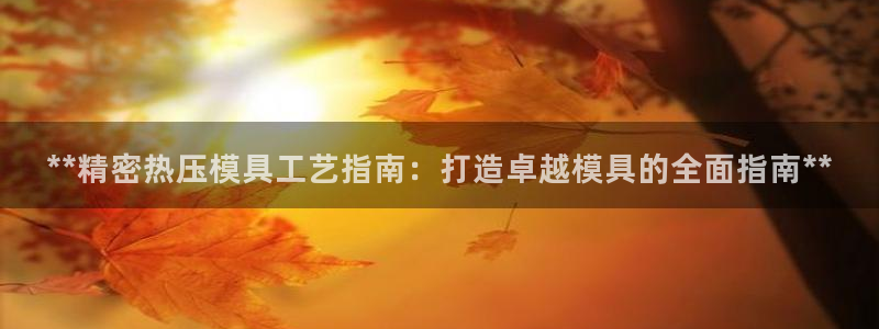 emc易倍的服务优势