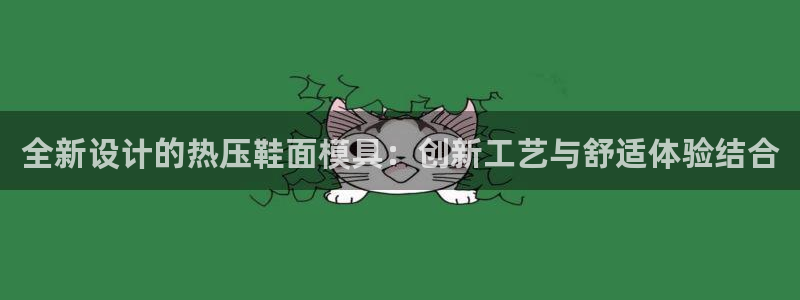 emc易倍下载：全新设计的热压鞋面模具：创新工艺与舒适体