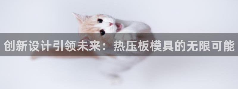 emc易倍网站是多少:创新设计引领未来:热压板模具的无限