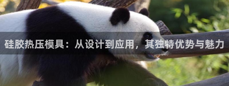 易倍下载：硅胶热压模具：从设计到应用，其独特优势与魅力