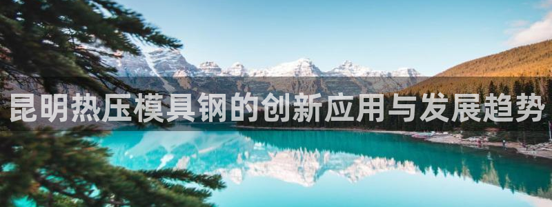 易倍app网站：昆明热压模具钢的创新应用与发展趋势