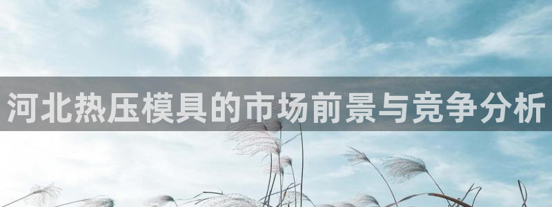 易倍电竞,有球必应：河北热压模具的市场前景与竞争分析
