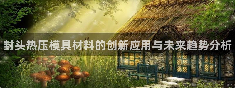 emc易倍在线登录：封头热压模具材料的创新应用与未来趋势