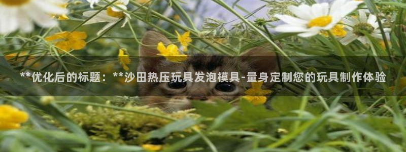 易倍单词平台：**优化后的标题：**沙田热压玩具发泡模具