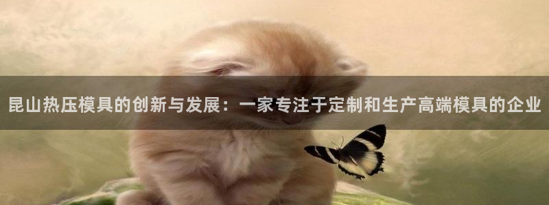 易倍申生产厂家：昆山热压模具的创新与发展：一家专注于定制