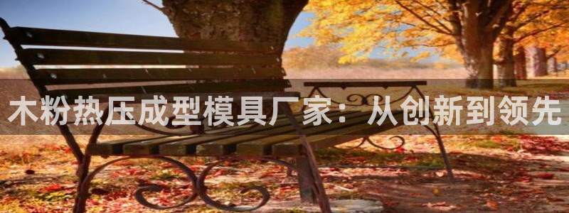 杭州易倍达上班怎么样：木粉热压成型模具厂家：从创新到领先