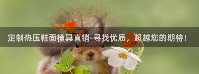 emc服务器是干啥的：定制热压鞋面模具直销-寻找优质，超