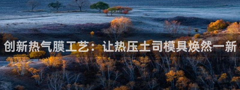 易倍单词如何下载:创新热气膜工艺:让热压土司模具焕然一新