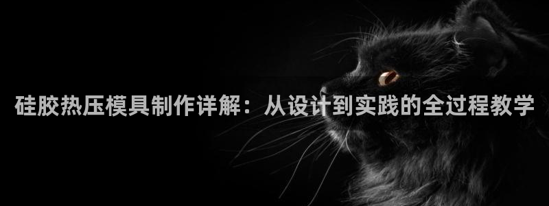 易倍纤代餐奶昔减肥效果怎么样:硅胶热压模具制作详解:从设