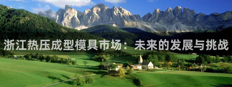 易倍达怎么样:浙江热压成型模具市场:未来的发展与挑战