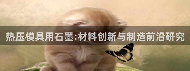 易倍emc安全吗：热压模具用石墨:材料创新与制造前沿研究