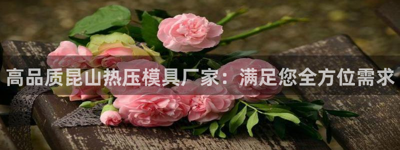 emc下载：高品质昆山热压模具厂家：满足您全方位需求