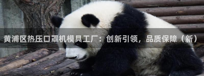 emc易倍全站官网：黄浦区热压口罩机模具工厂：创新引领，