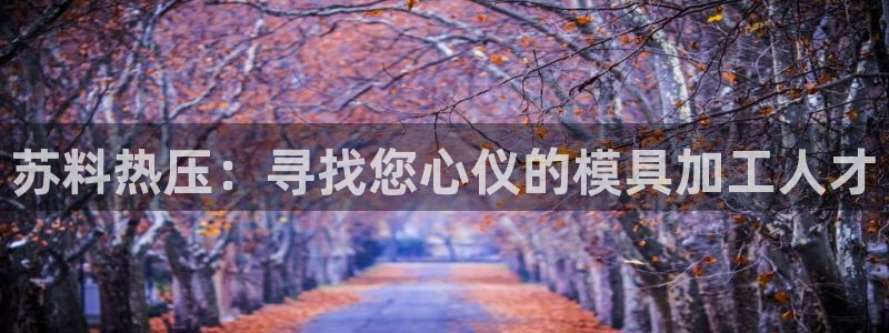 emc全站app下载：苏料热压：寻找您心仪的模具加工人才