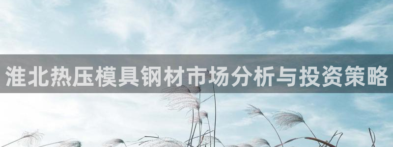 易倍达科技有限公司官网：淮北热压模具钢材市场分析与投资策