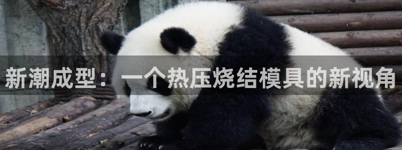 易倍单词如何下载:新潮成型:一个热压烧结模具的新视角