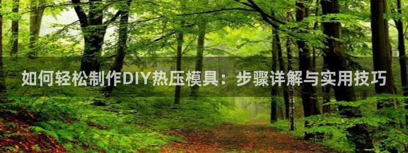 易倍申的包装规格：如何轻松制作DIY热压模具：步骤详解与