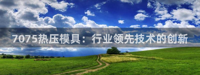 emc服务器是干啥的：7075热压模具：行业领先技术的创