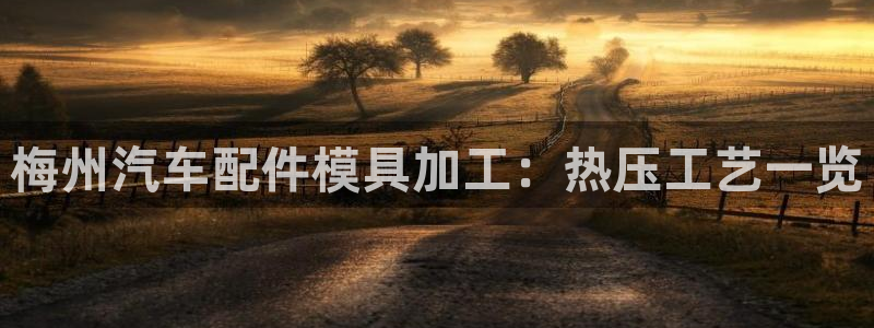 易倍达科技有限公司官网