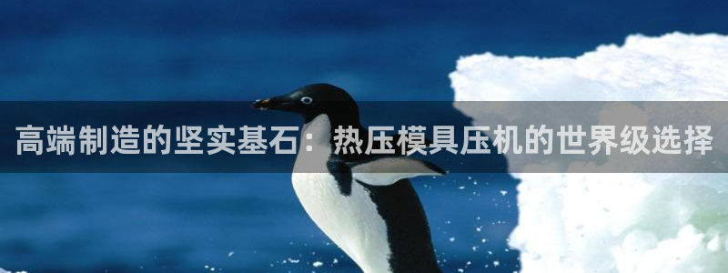 emc易倍出空款:高端制造的坚实基石:热压模具压机的世界