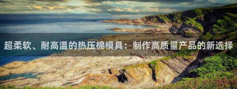 易倍科华生物科技有限公司：超柔软、耐高温的热压棉模具：制