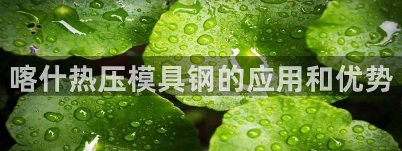 易倍易倍单词官方网站：喀什热压模具钢的应用和优势