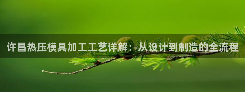 易倍全站下载：许昌热压模具加工工艺详解：从设计到制造的全