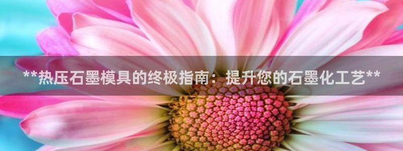 emc易倍出空款：**热压石墨模具的终极指南：提升您的石